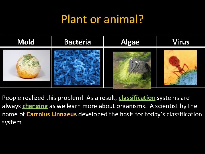 Plant or animal? Mold Bacteria Algae Virus People realized this problem! As a result,