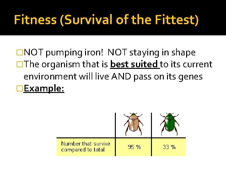The brown beetles have a greater fitness relative to the green beetles. Fitness (Survival