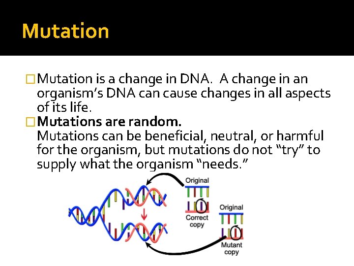 Mutation �Mutation is a change in DNA. A change in an organism’s DNA can