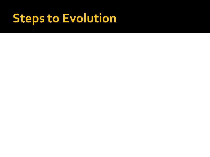 Steps to Evolution 