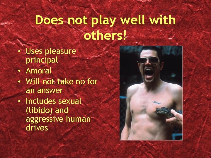 Does not play well with others! • Uses pleasure principal • Amoral • Will