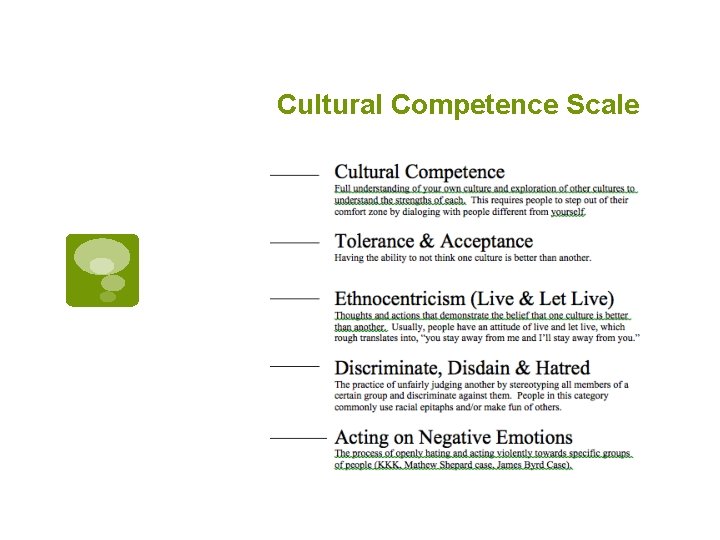 Cultural Competence Scale 