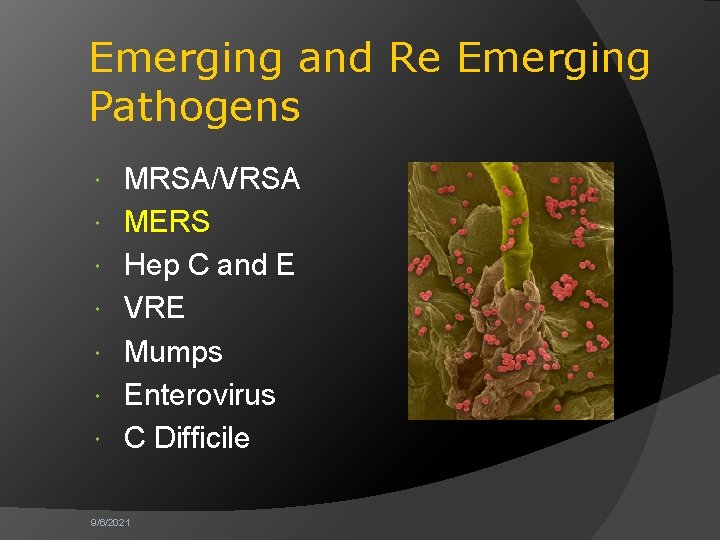 Emerging and Re Emerging Pathogens MRSA/VRSA MERS Hep C and E VRE Mumps Enterovirus