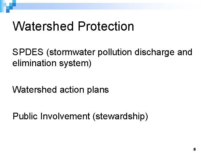 Watershed Protection SPDES (stormwater pollution discharge and elimination system) Watershed action plans Public Involvement