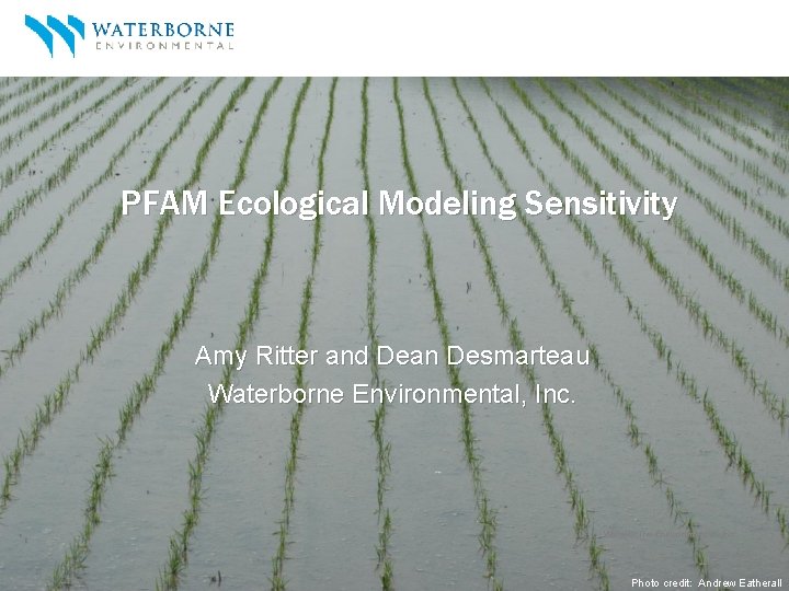 PFAM Ecological Modeling Sensitivity Amy Ritter and Dean Desmarteau Waterborne Environmental, Inc. 1 Photo