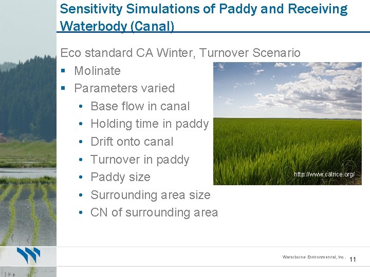 Sensitivity Simulations of Paddy and Receiving Waterbody (Canal) Eco standard CA Winter, Turnover Scenario