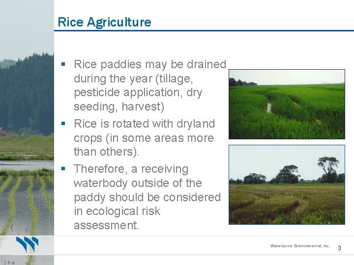 Rice Agriculture § Rice paddies may be drained during the year (tillage, pesticide application,