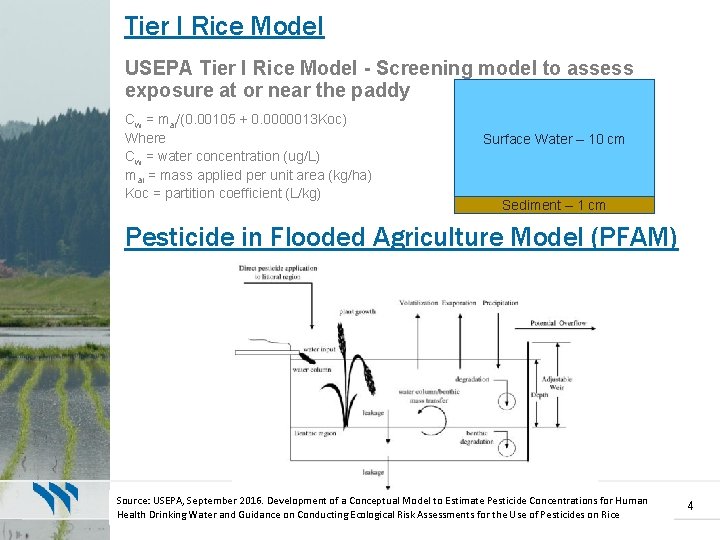 Tier I Rice Model USEPA Tier I Rice Model - Screening model to assess