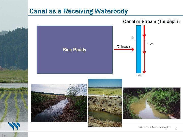Canal as a Receiving Waterbody Canal or Stream (1 m depth) 40 m Rice