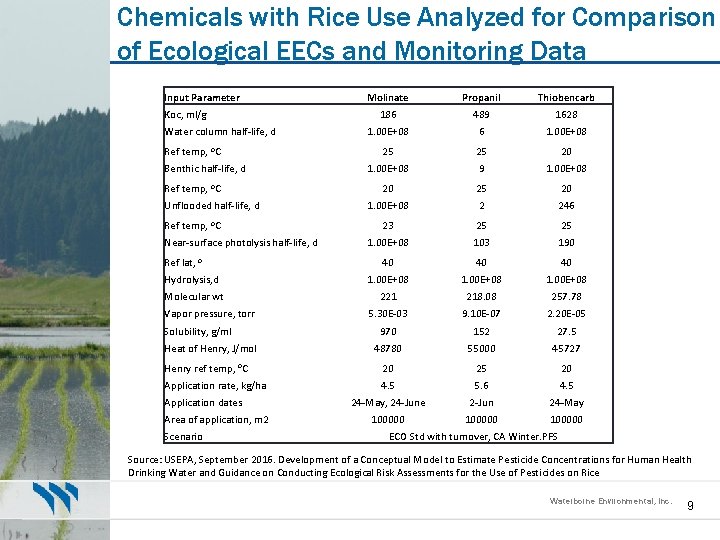 Chemicals with Rice Use Analyzed for Comparison of Ecological EECs and Monitoring Data Input