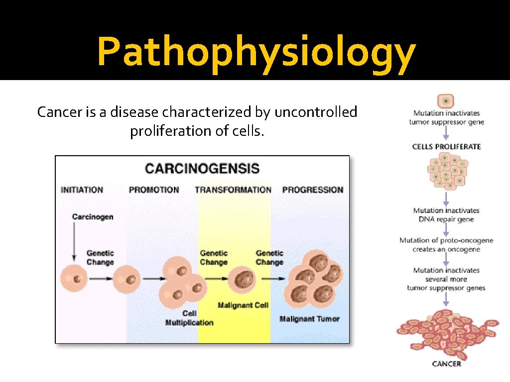 Pathophysiology Cancer is a disease characterized by uncontrolled proliferation of cells. 