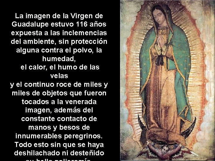 La imagen de la Virgen de Guadalupe estuvo 116 años expuesta a las inclemencias