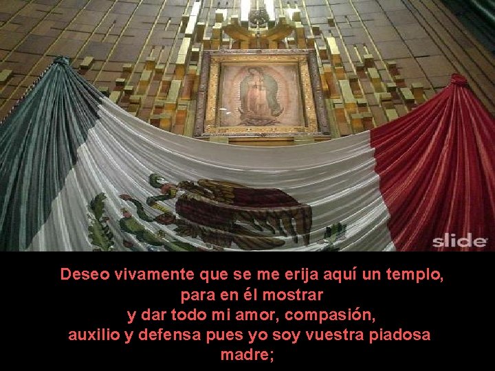 Deseo vivamente que se me erija aquí un templo, para en él mostrar y