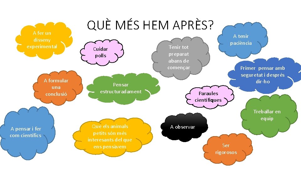 A fer un disseny experimental A formular una conclusió QUÈ MÉS HEM APRÈS? Cuidar