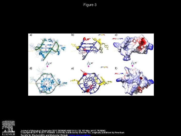 Figure 3 Journal of Biological Chemistry 2017 2928082 -8091 DOI: (10. 1074/jbc. M 117.