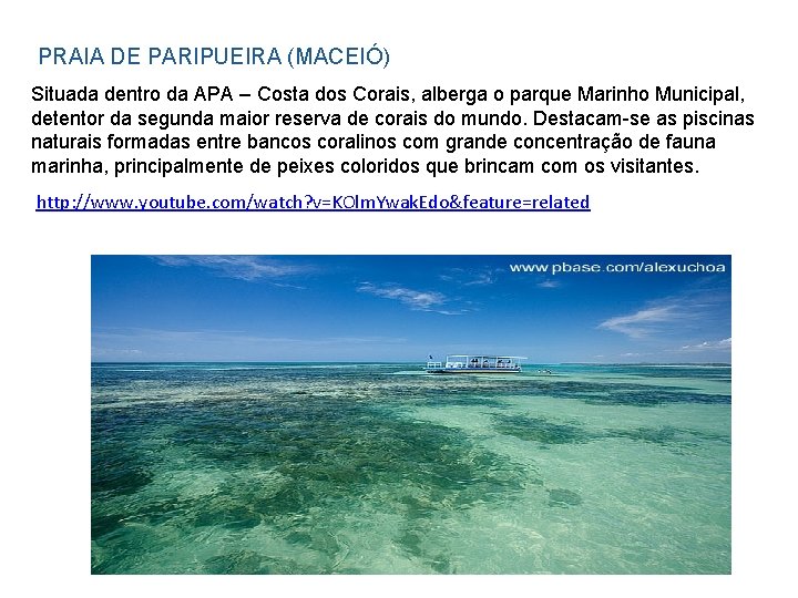 PRAIA DE PARIPUEIRA (MACEIÓ) Situada dentro da APA – Costa dos Corais, alberga o