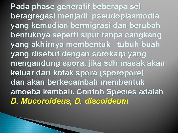 Pada phase generatif beberapa sel beragregasi menjadi pseudoplasmodia yang kemudian bermigrasi dan berubah bentuknya