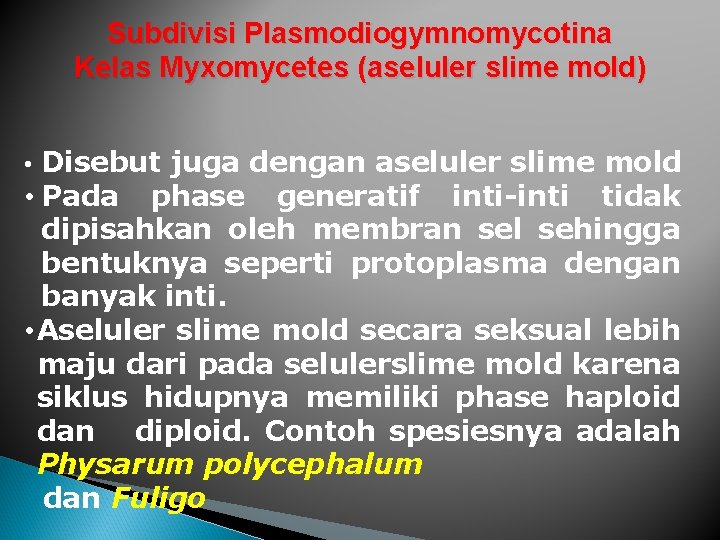 Subdivisi Plasmodiogymnomycotina Kelas Myxomycetes (aseluler slime mold) • Disebut juga dengan aseluler slime mold