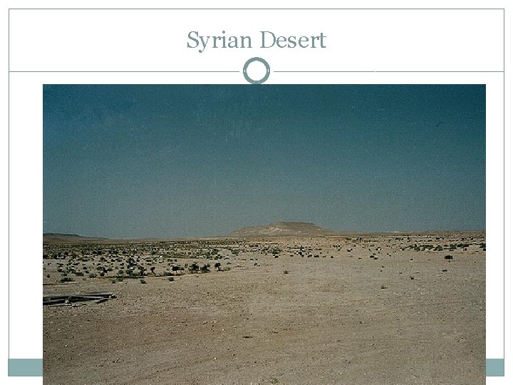 Syrian Desert 