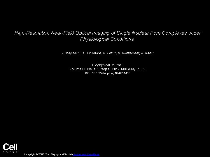 High-Resolution Near-Field Optical Imaging of Single Nuclear Pore Complexes under Physiological Conditions C. Höppener,