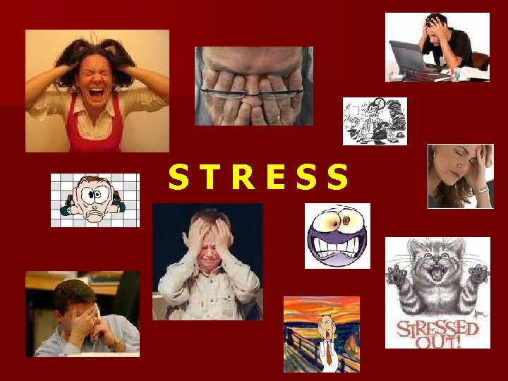 STRESS 
