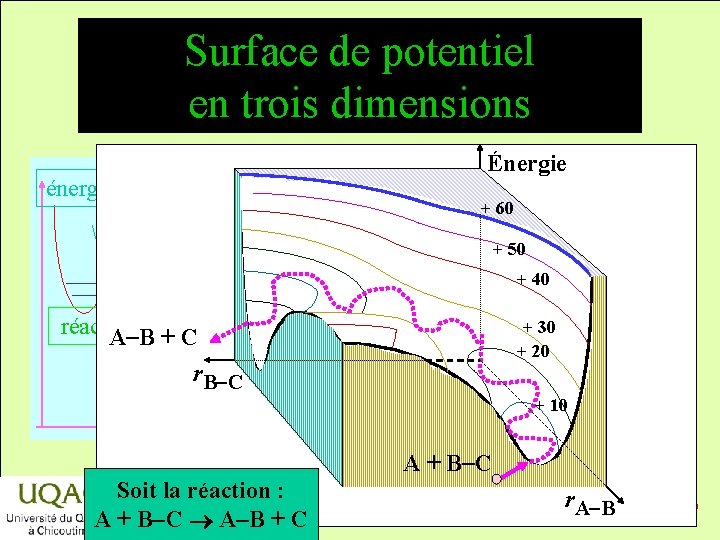 Surface de potentiel en trois dimensions énergie Énergie + 60 + 50 + 40