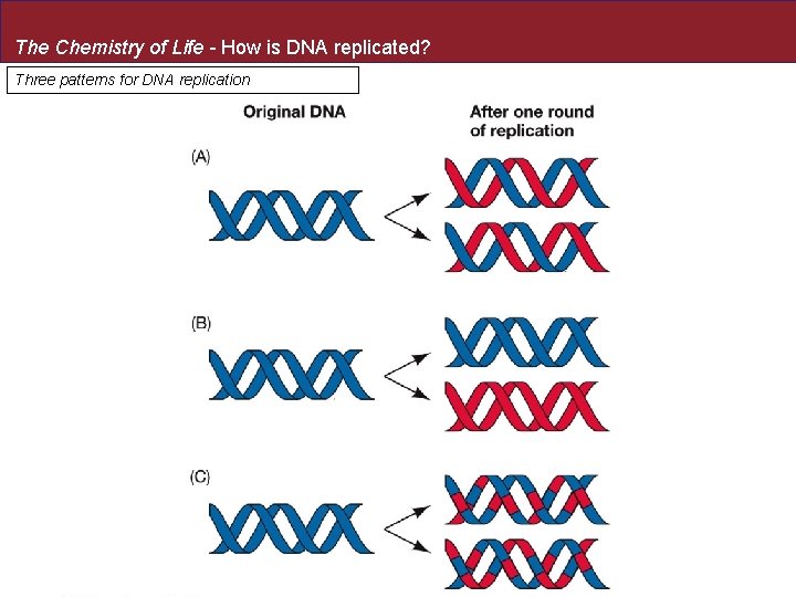 The Chemistry of Life - How is DNA replicated? Three patterns for DNA replication