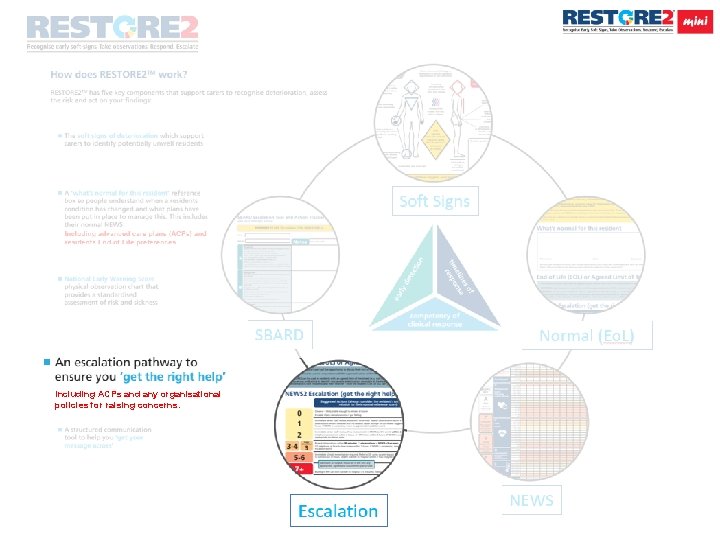 Including ACPs and any organisational policies for raising concerns. 12 