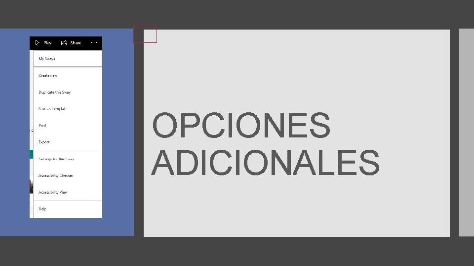 OPCIONES ADICIONALES 