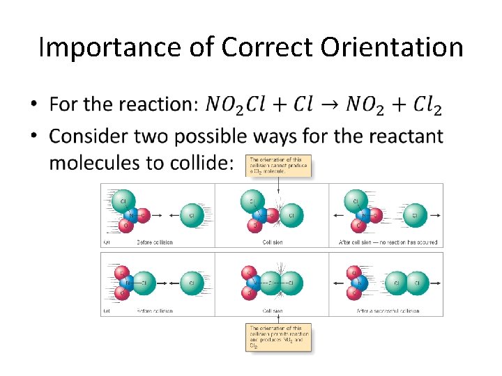 Importance of Correct Orientation • 