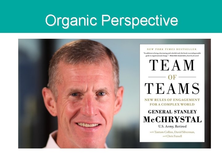 Organic Perspective Organic Perspective