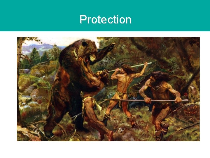 Protection Protection