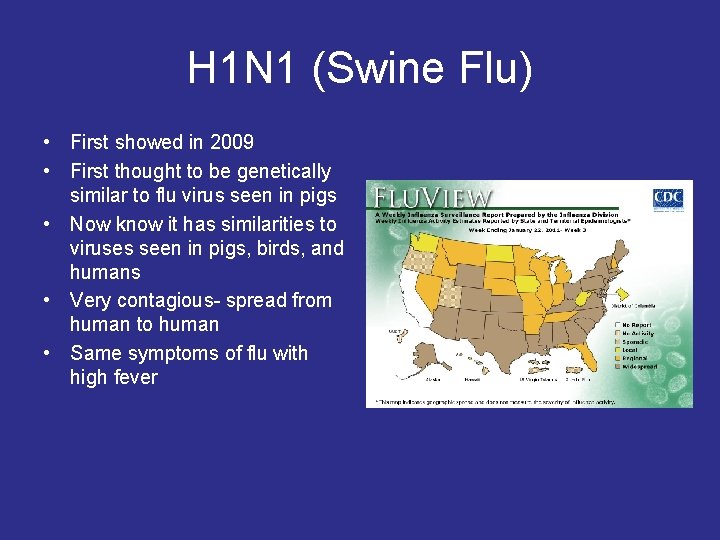 H 1 N 1 (Swine Flu) • First showed in 2009 • First thought