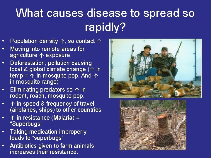 What causes disease to spread so rapidly? • Population density , so contact •