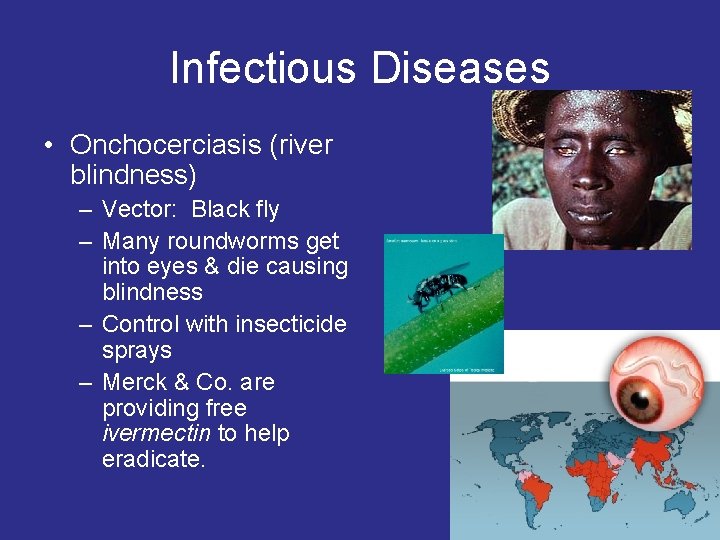 Infectious Diseases • Onchocerciasis (river blindness) – Vector: Black fly – Many roundworms get