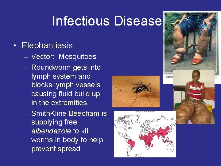 Infectious Diseases • Elephantiasis – Vector: Mosquitoes – Roundworm gets into lymph system and