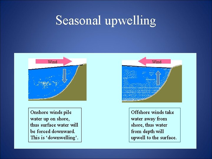 Seasonal upwelling Wind Onshore winds pile water up on shore, thus surface water will