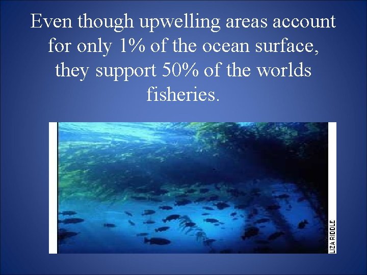 Even though upwelling areas account for only 1% of the ocean surface, they support