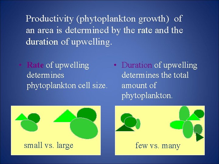 Productivity (phytoplankton growth) of an area is determined by the rate and the duration