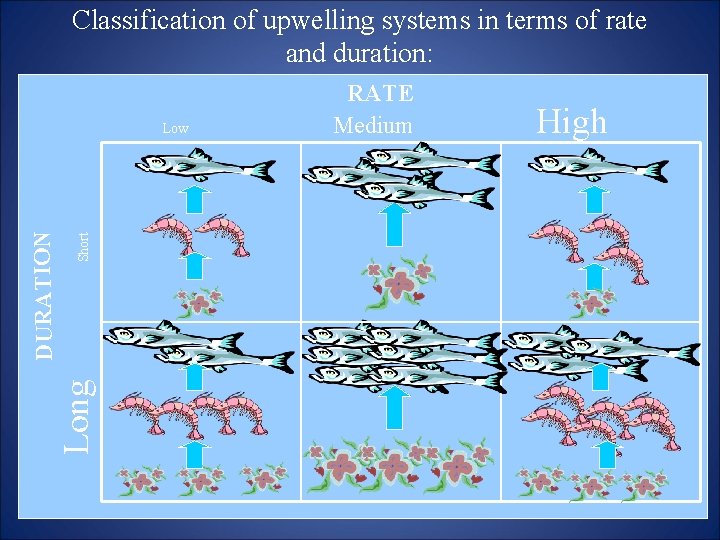 Classification of upwelling systems in terms of rate and duration: Short High Long DURATION