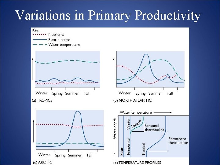 Variations in Primary Productivity 
