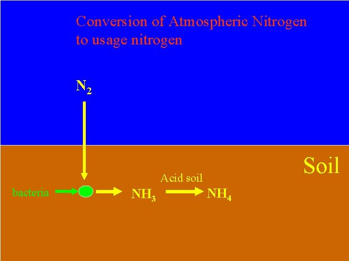 Conversion of Atmospheric Nitrogen to usage nitrogen N 2 Soil Acid soil bacteria NH