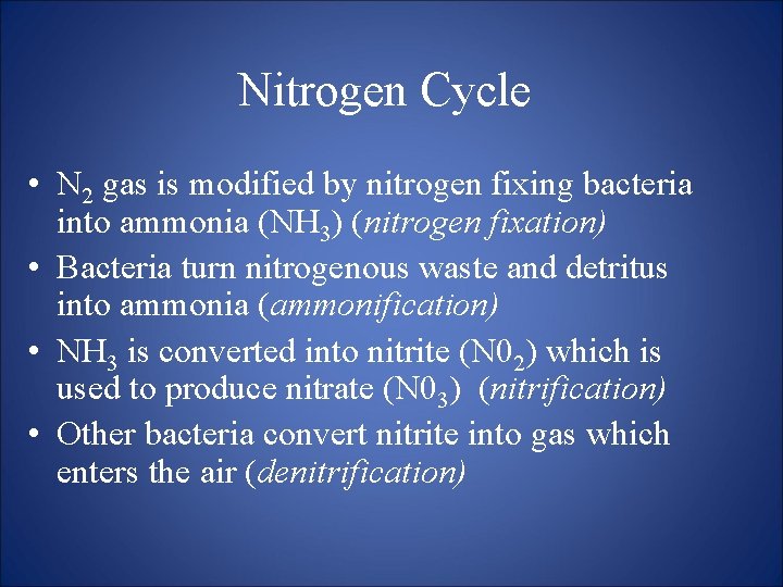 Nitrogen Cycle • N 2 gas is modified by nitrogen fixing bacteria into ammonia