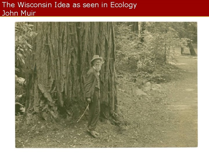 The Wisconsin Idea as seen in Ecology John Muir 