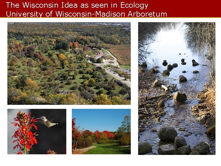 The Wisconsin Idea as seen in Ecology University of Wisconsin-Madison Arboretum 
