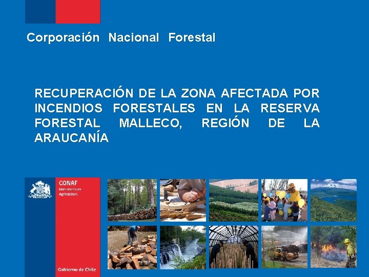 Corporación Nacional Forestal RECUPERACIÓN DE LA ZONA AFECTADA POR INCENDIOS FORESTALES EN LA RESERVA