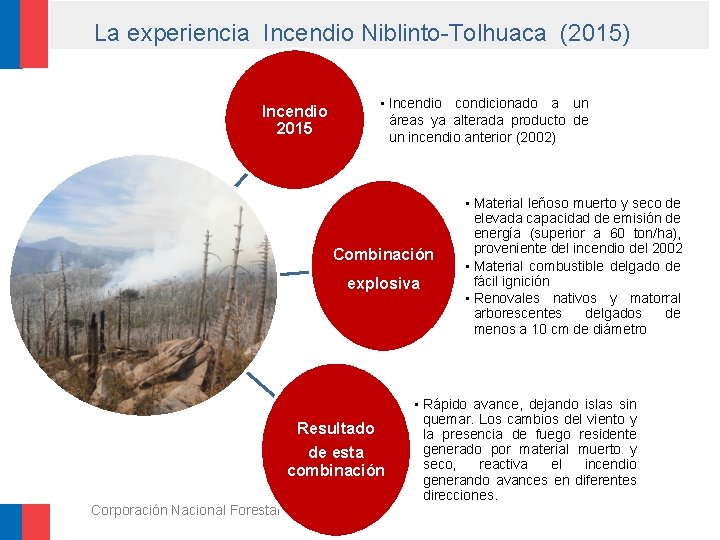 La experiencia Incendio Niblinto-Tolhuaca (2015) • Incendio condicionado a un áreas ya alterada producto
