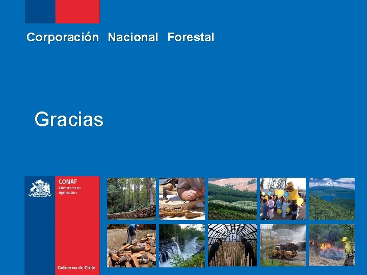 Corporación Nacional Forestal Gracias 