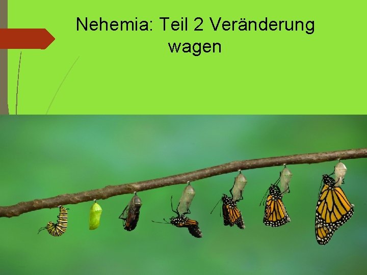 Nehemia: Teil 2 Veränderung wagen 