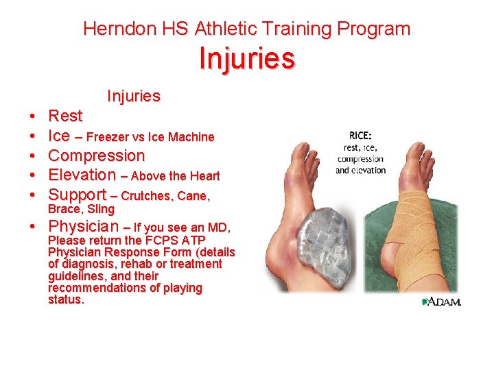 Herndon HS Athletic Training Program Injuries • • • Rest Ice – Freezer vs